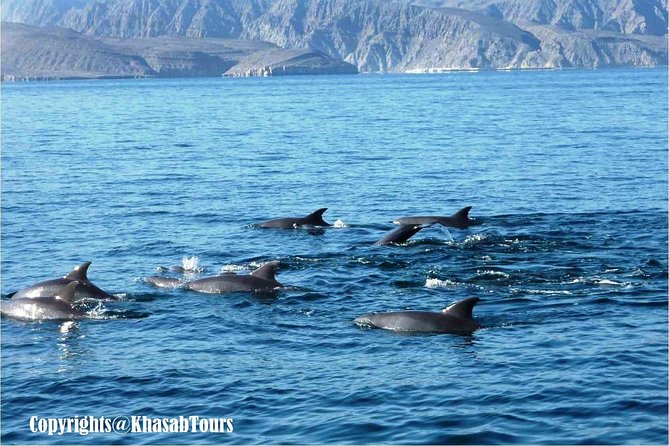 Musandam Khasab Day Trip & Dhow Cruise From Ras Al Khaimah - Inclusions Provided