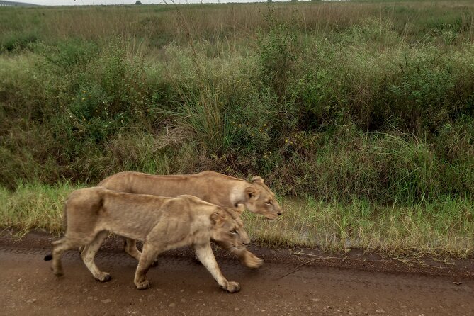 Nairobi Airport to Hotel Transfers With City Tour - Transportation and Pickup Details
