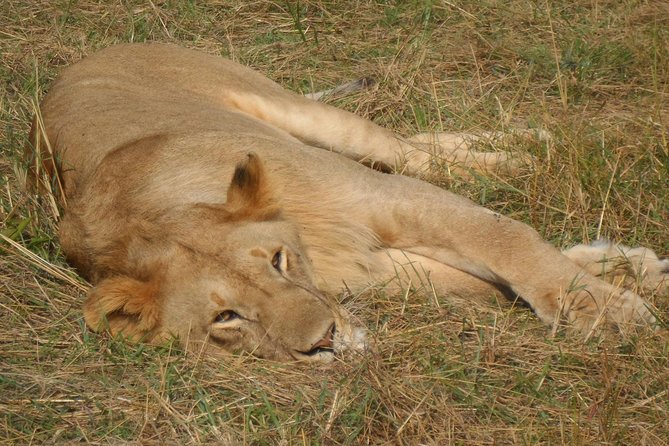 Nairobi Morning Game Drive/elephant Visit/giraffe Centre 6.a.m To 12 Noon - Pricing and Payment Options
