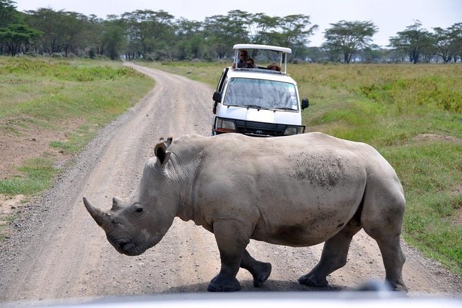 Nairobi National Park, Giraffe Center & Beads Factory Guided Day Tour - Group Size and Operator