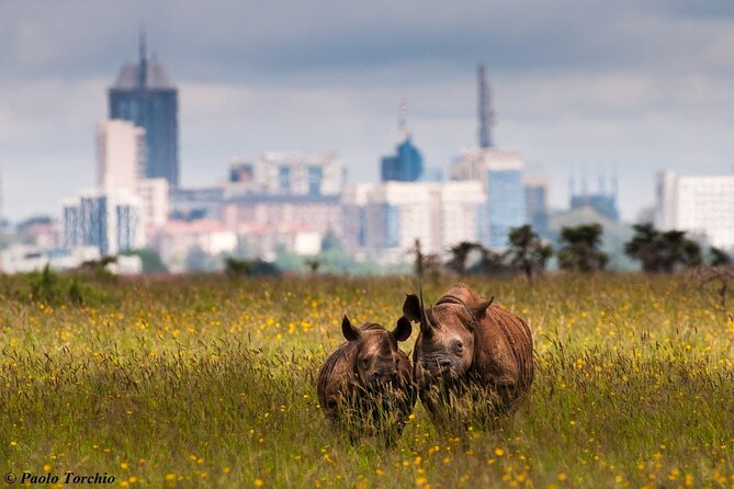 Nairobi Park Giraffe Center Beads Center And Karen Blixen Museum - Booking Options and Pricing