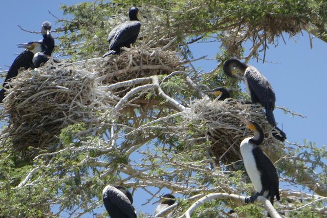 Nairobi to Lake Naivasha Day Tour With Crescent Island - Frequently Asked Questions