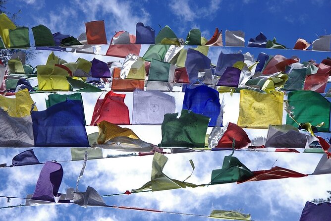 Nature Trek From Dharamshala - Tour Booking