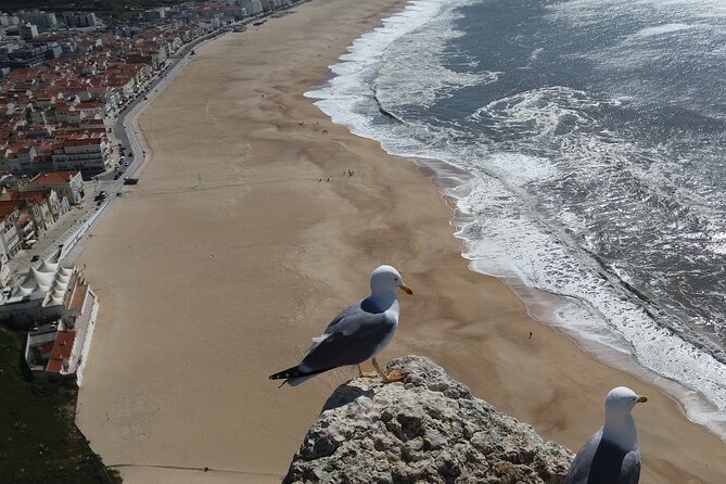 Nazaré Express; Home to the Biggest Waves in the World. - Travel Directions