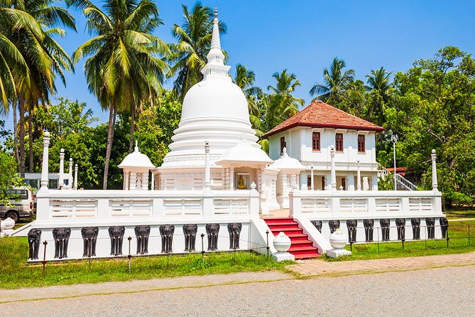 Negombo City Tuk Tuk Safari - Price and Guarantee