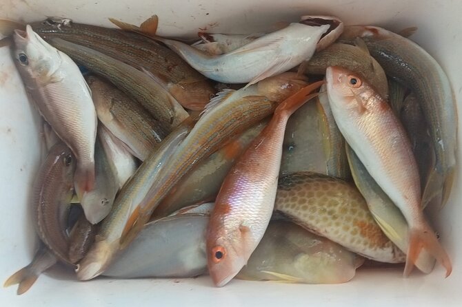 Nha Trang Private Day Trip Fishing With The Locals - Fishing Experience Details