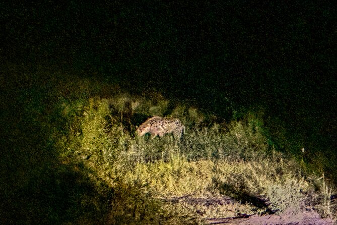 Night Game Drive in Zambezi National Park and Victoria Falls - Cancellation Policy and Refunds