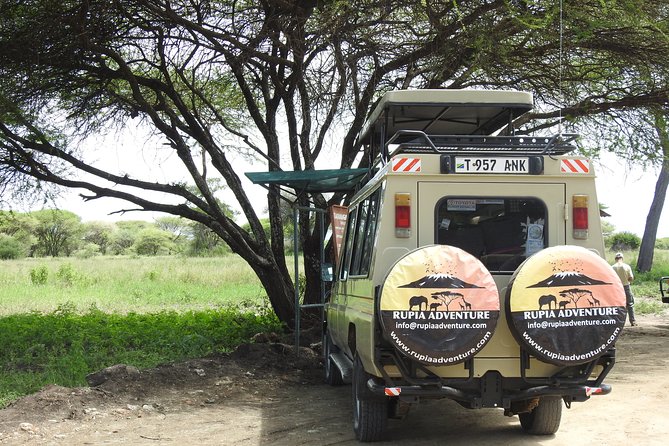 Night Game Tour In Lake Manyara National Park - Pricing and Guarantee