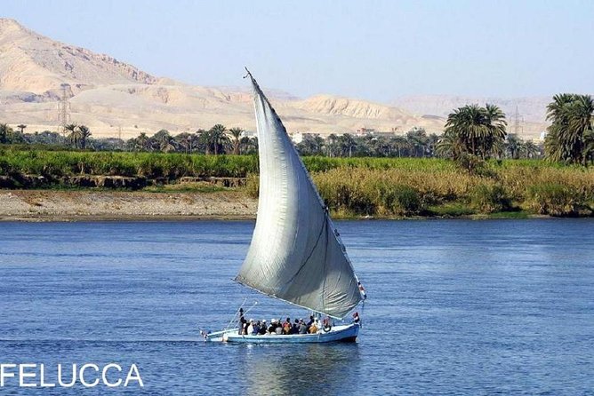Nubian Village &Botanical Garden Tour With Fellouca Tour From Aswan - Pricing and Booking Details