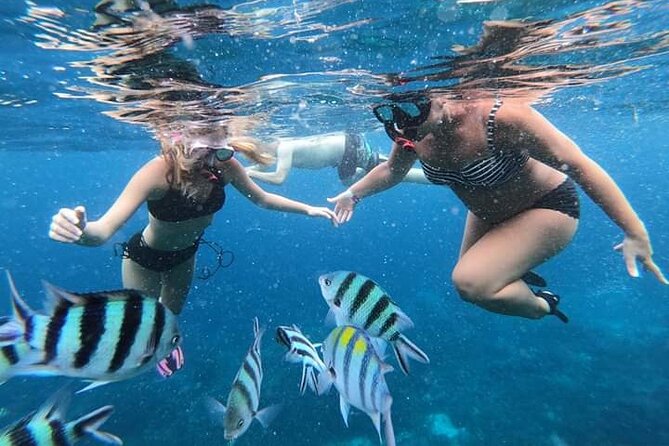 Nusa Penida Full Trip – Snorkeling & Land Tour - Pickup Information
