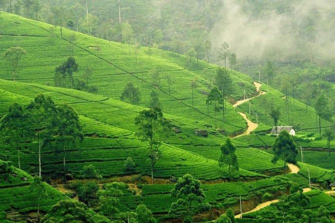 Nuwara Eliya & Kandy | 2 Days Tour - Inclusions and Exclusions