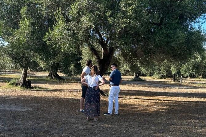 Olive Tree Grove Guided Visit With Tasting in Oristano - Booking Details and Pricing