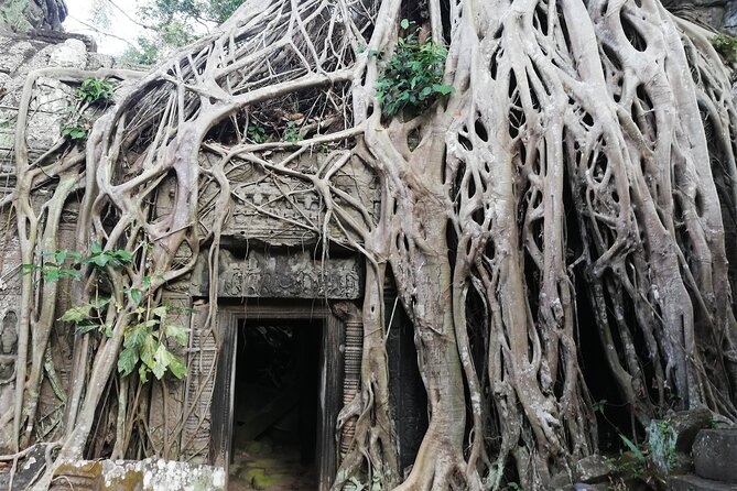 One Day Angkor World Heritage Tour - Booking Process