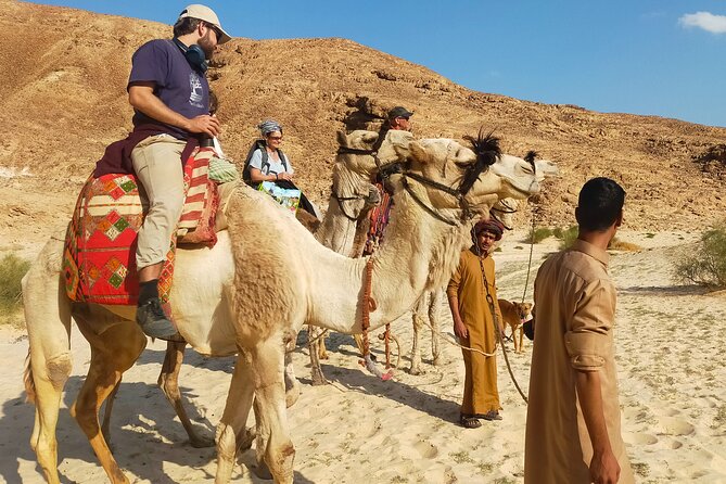One Day Camel or Hiking From Dahab - Cancellation Policy