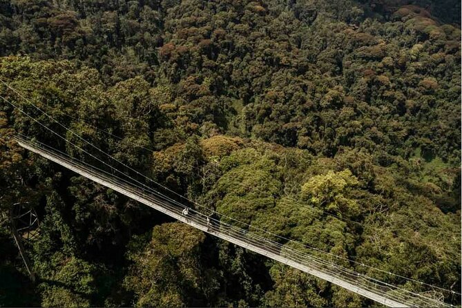 One Day Canopy Private Walk Adventure - Private Group Experience