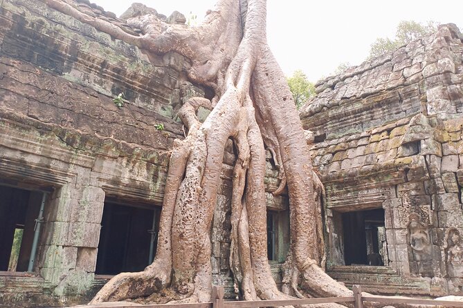 One Day Shared Trip to Angkor Temples With Sunset - Making the Most of Your Experience