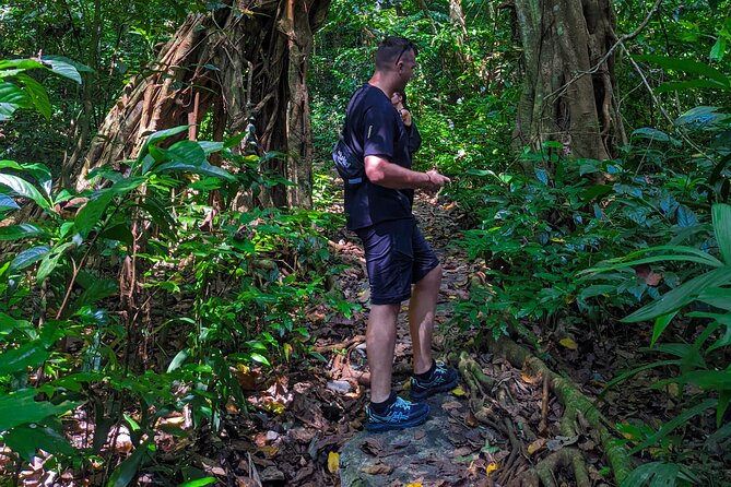 One Day Trekking Cat Ba National Park - Pricing and Booking Details