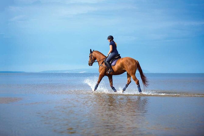 One Hour Horse Riding With Transfer From Hurghada - Scheduling and Cancellation Policy