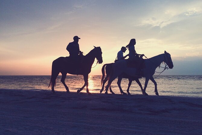 One Hour Horse Riding With Transfer From Hurghada - Pickup Information