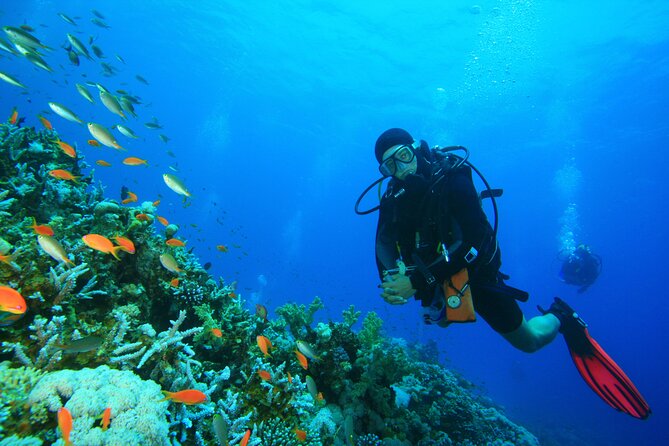Orange Island Scuba Diving and Snorkeling Tour From Hurghada - Transportation Details