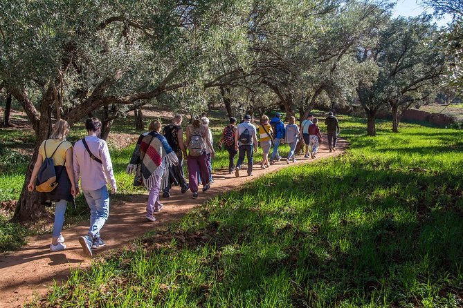 Ouzoud Waterfalls Day Trip Excursion From Marrakech - Weather Contingency Plan