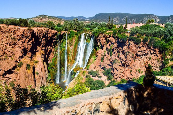 Ouzoud Waterfalls Full Day Trip From Marrakech - Inclusions