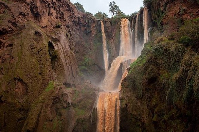 OUZOUD WATERFALLS Small Group Day Tour From Marrakech . - Price & Booking