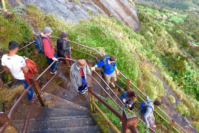 Overnight Hiking and Trekking Tour to Adams Peak via Peak Wilderness Sanctuary - The Sum Up
