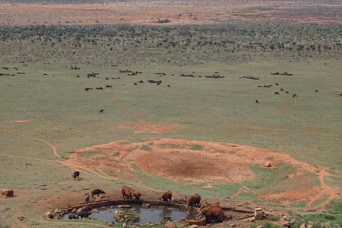 Overnight Safari to Tsavo East, Meet the Red Elephant of Tsavo East - Booking Information