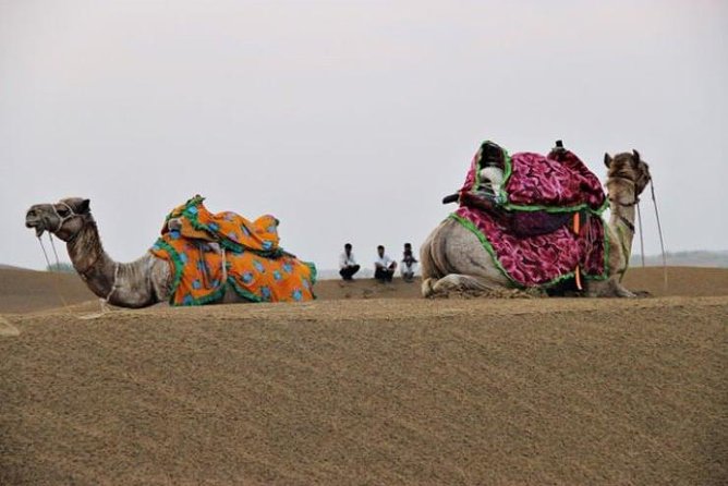 Overnight Stay In Desert With Camel Safari - Additional Information