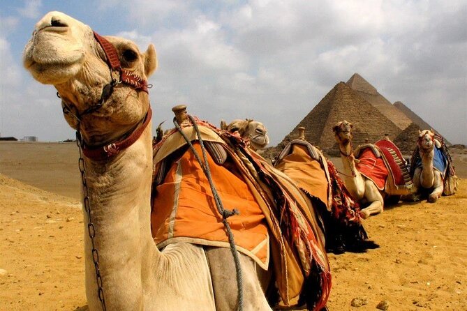 Package 8-Days Pyramids,Red Sea,Luxor Tours & Plane From Cairo - Transportation and Accessibility