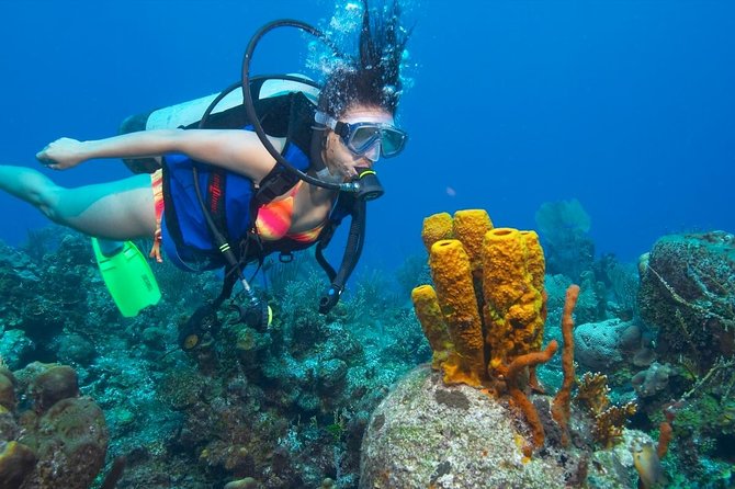 PADI Advanced Open Water Diving Course & Certificate - Hurghada - Inclusions and Amenities