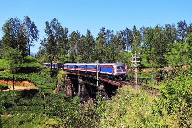 Peradeniya to Badulla Train Ride on (Train No: 1001 Denuwara Menike) - Meeting Point Details