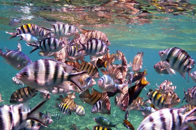 Perhentian Island Free & Easy With Snorkeling Trips 3D2N - Additional Tour Details