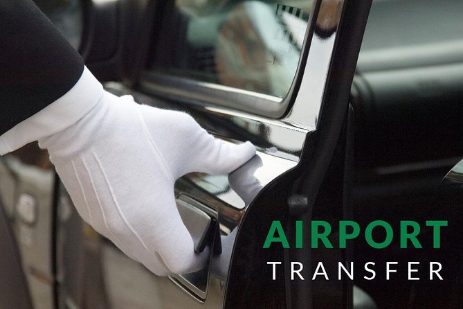 Petra or Wadirum Transfer To/From Amman, Airport, Madaba, Deadsea - Accessibility and Participant Information