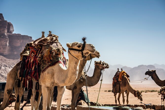 Petra Tour From Taba by Ferry Boat - Cancellation Policy Details