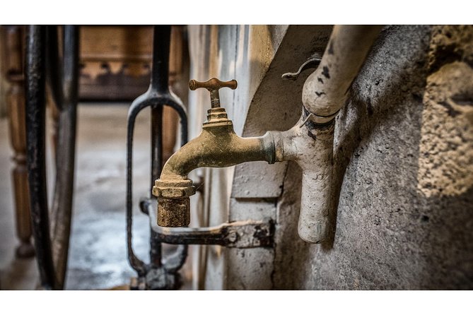 Photography Tour of Château Chenonceau - Activity Experience Overview