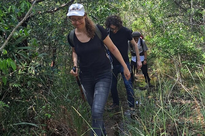 Phu Quoc Tien Son Dinh 1-Day Trekking Tour - Expectations and Additional Info