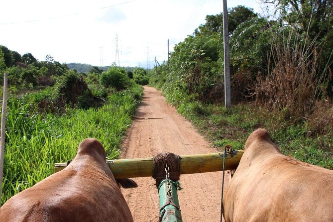 Pidurangala and Hiriwaduna Village Tour From Sigiriya - Meeting and Pickup Details