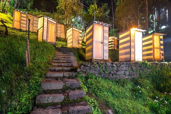 Pine Forest Camping Near Shimla - 1 Night - Booking, Cancellation Policy, and Pricing