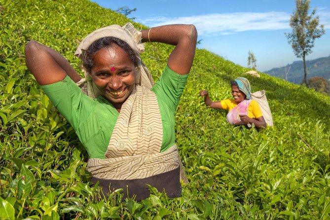 Pinnawela, Kandy & Tea Highlands 2 Days Tour - Booking Confirmation