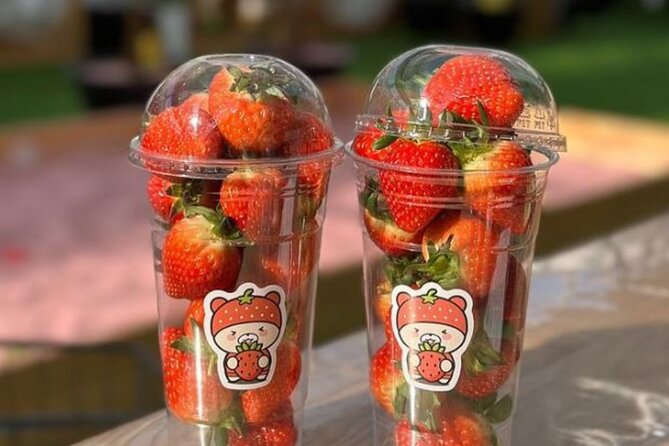 Pocheon Art Valley With Strawberry Picking Half-Day Tour - Cancellation Policy