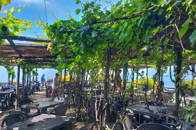 Pompeii and Mount Vesuvius Wine Tasting Private Tour From Amalfi - Booking Options