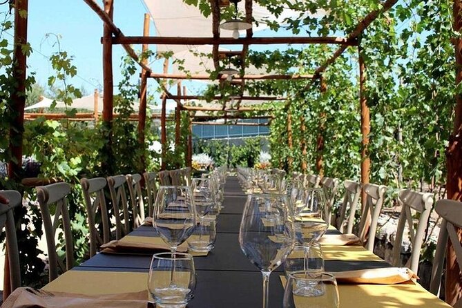 Pompeii and Vesuvius Tour With Lunch Wine Tasting From Sorrento - Requirements and Accessibility