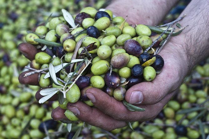 Pompeii, Pizza Class, Olive Oil Tasting Private Tour - Reservation Guidelines