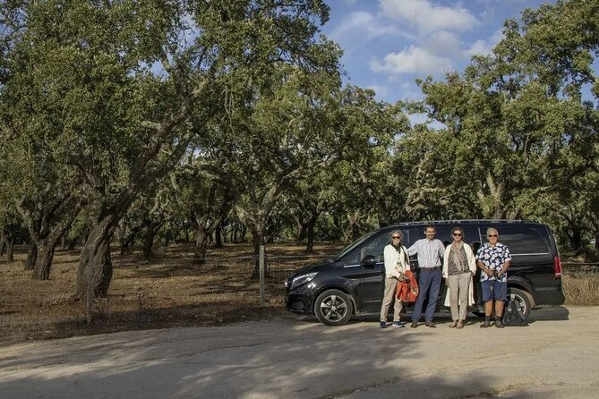 Porto From Lisbon 100% Personalized - Private Tour + Wine Tasting - Accessibility Details