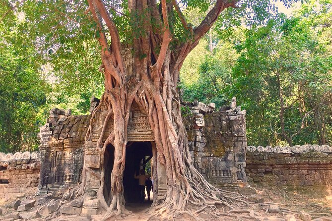 Preah Khan Neak Pean Pink Towers Private Bike Tour - Tour Requirements
