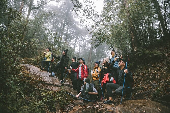 Private 1 Day Fansipan Conquering And Trekking - Accessibility Information