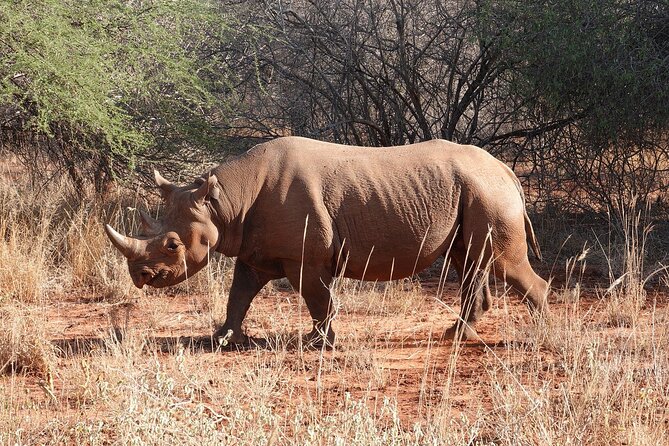 Private 10 Days Tour Visit of Tanzania With Meals Included - Accessibility Information