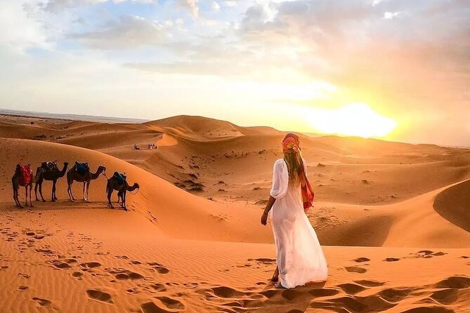 Private 3 Days Desert Tour From Marrakech To Merzouga Dunes & Camel Trek - Booking and Cancellation Policy